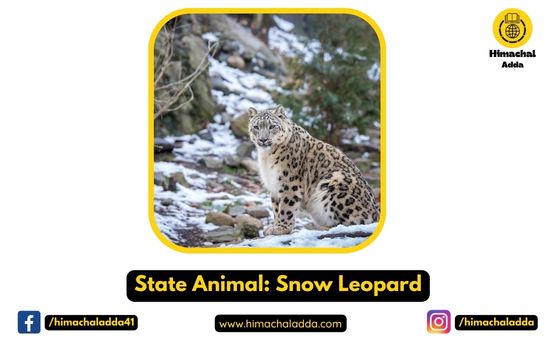 State Animal: Snow Leopard