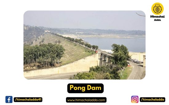 Pong Dam