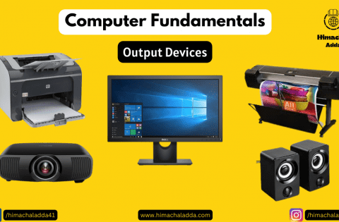 Output Devices with examples