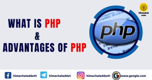 Read more about the article PHP and Advantages of PHP