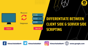 Read more about the article Differentiate between Client Side & Server Side Scripting