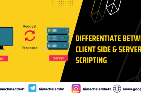 Differentiate between Client Side & Server Side Scripting